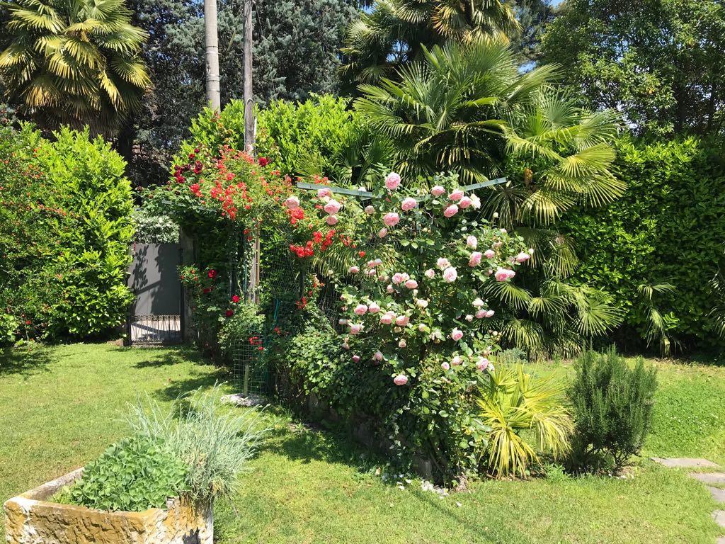 Bed and Breakfast Rainbow Relais Lesa Exterior foto